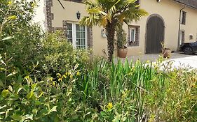 Coin de nature en Puisaye